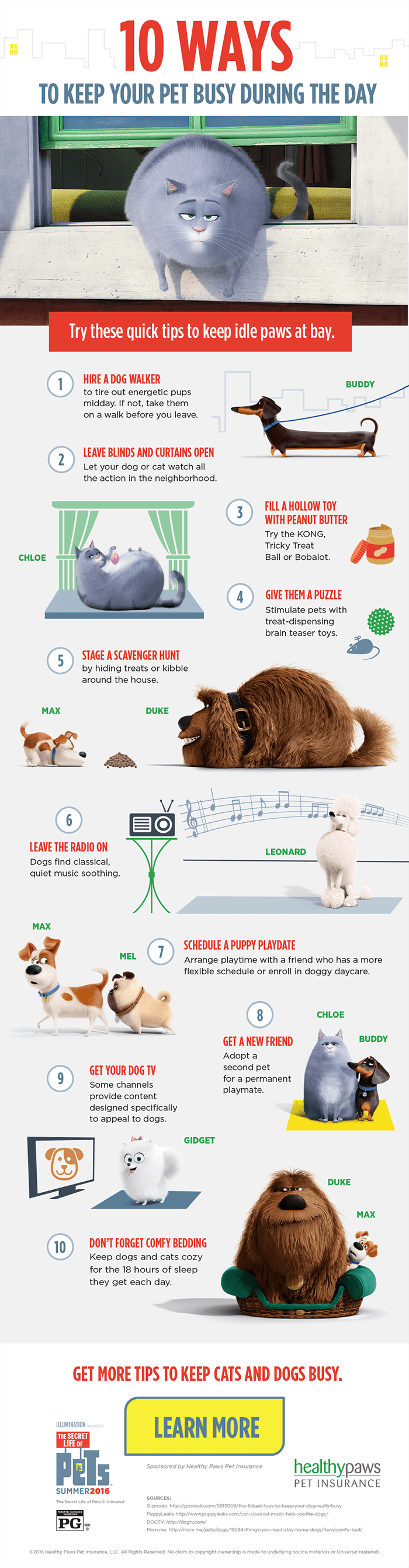 10-Ways-to-Keep-Pets-Busy