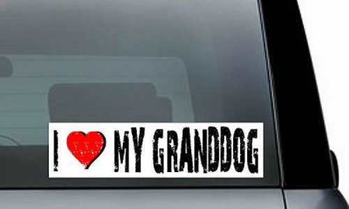 i love my granddog car bumper stickers