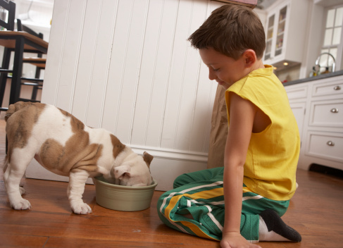 dog eating from bowl with young boy