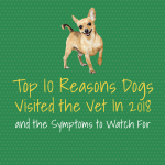Top 10 reasons dogs visited the vet in 2018