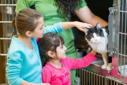 children petting a cat in a cage