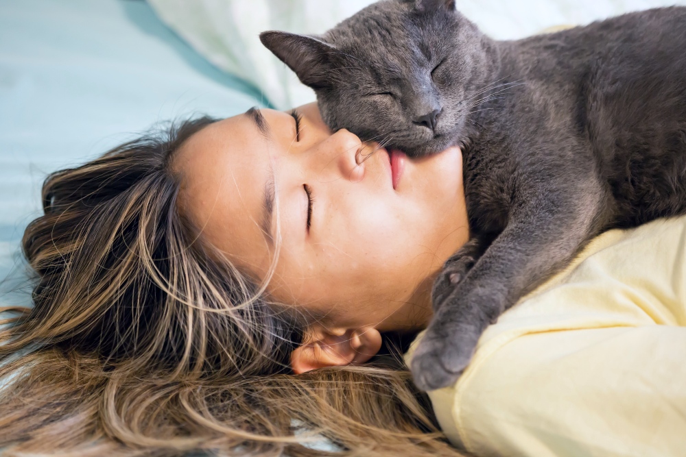 gray cat sleeping on woman