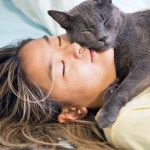 gray cat sleeping on woman