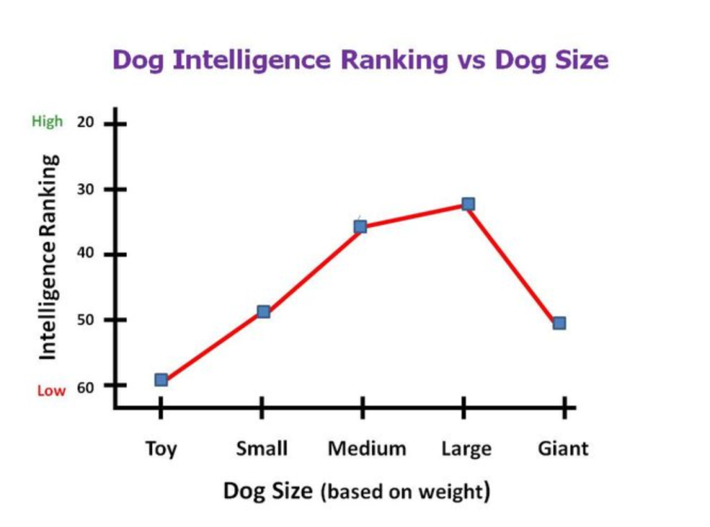 Dog intelligence graph