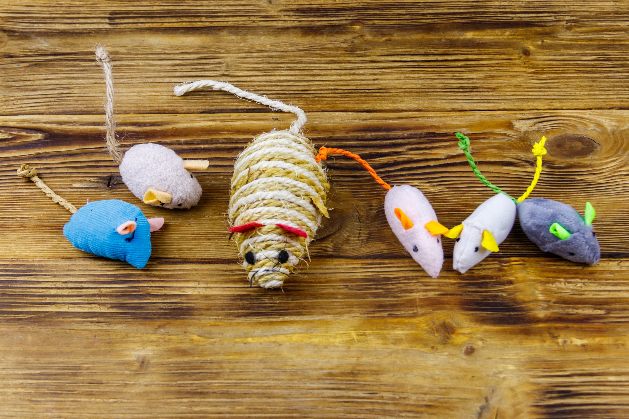 Set of mouses toys for cat on wooden background