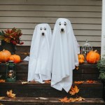 dogs in ghost costumes halloween