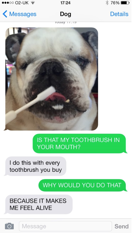 screenshot of text with dog brushing its teeth