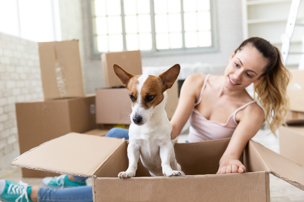 girl and dog with moving boxes