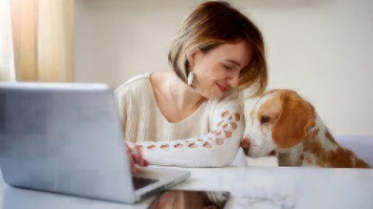 woman and brown dog by laptop