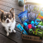 barkbox subscription box