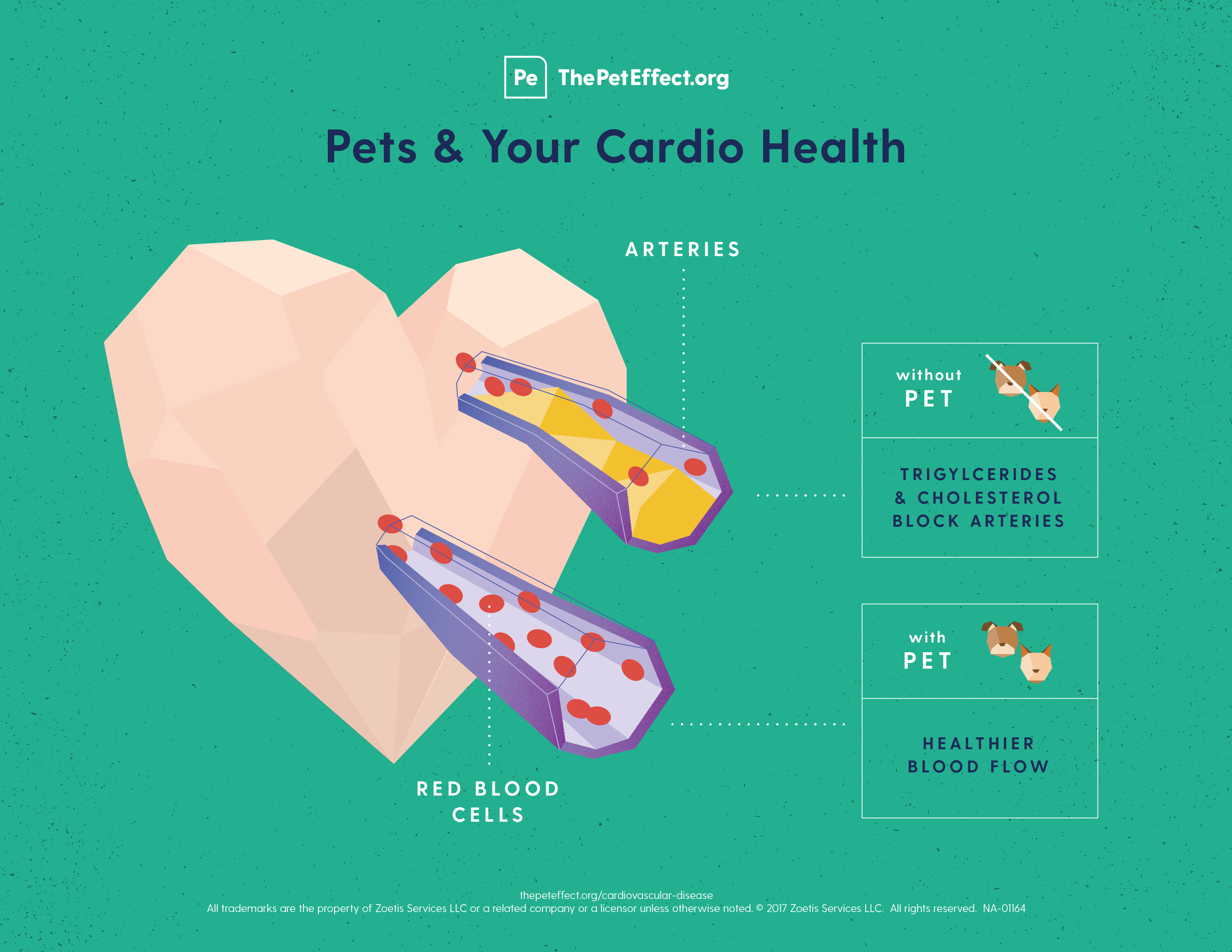 Infographic: Pets and Cardio Health 