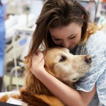 assisted animal therapy dog