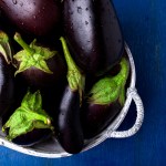 is eggplant safe for dogs