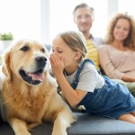 science says talking to your pet is good