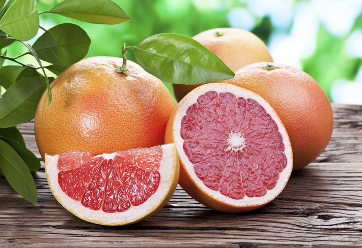 Can Dogs Eat Grapefruit? | Healthy Paws Pet Insurance