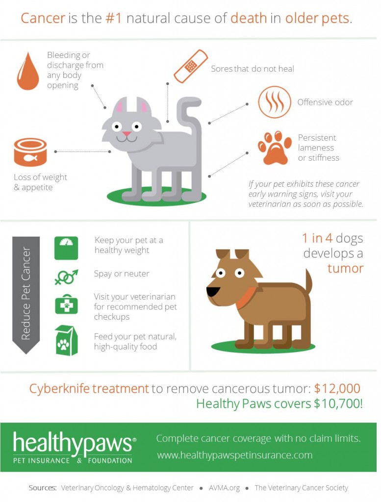 Pets and cancer infographic