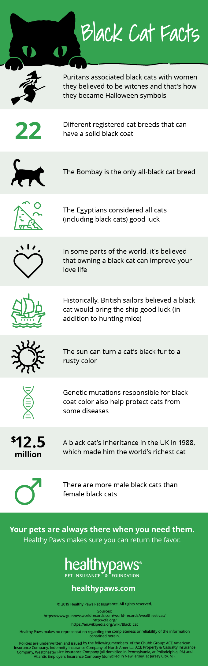 black cat facts infographic