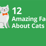 12 Amazing Facts About Cats