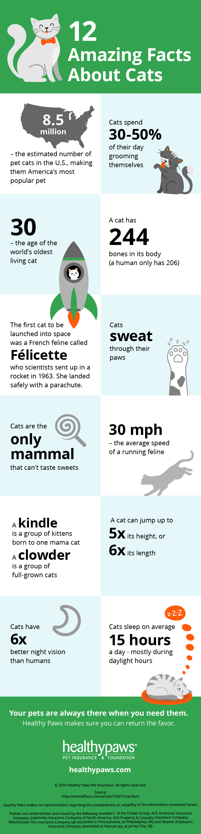 12 facts about cats