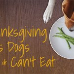 Thanksgiving_featured