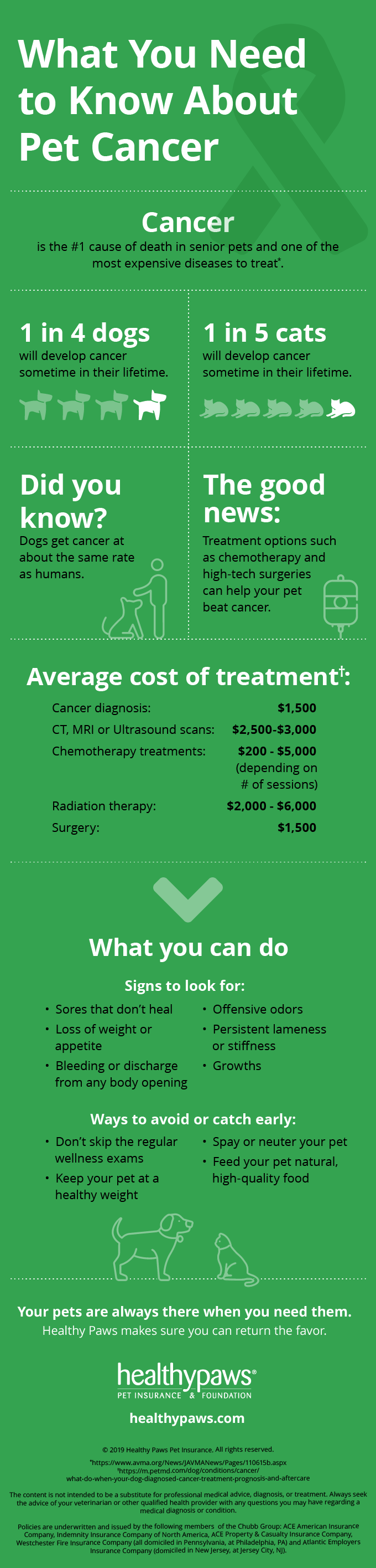 Infographic about pet cancer.