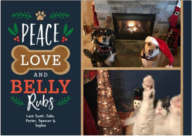 Christmas card with pets