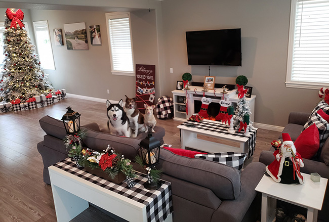 Christmasy house with 3 dogs