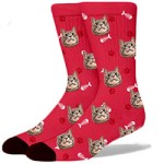 red cat socks for humans