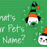 What's your pet's elf name