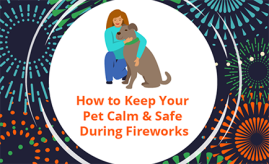 Fireworks infographic