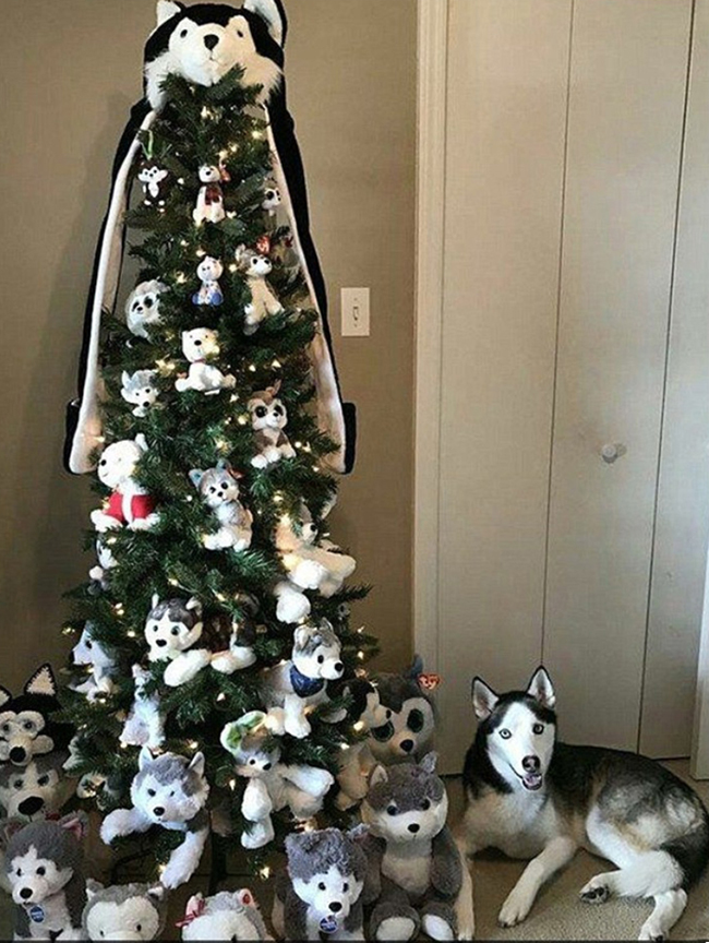 Husky dog with husky Christmas tree