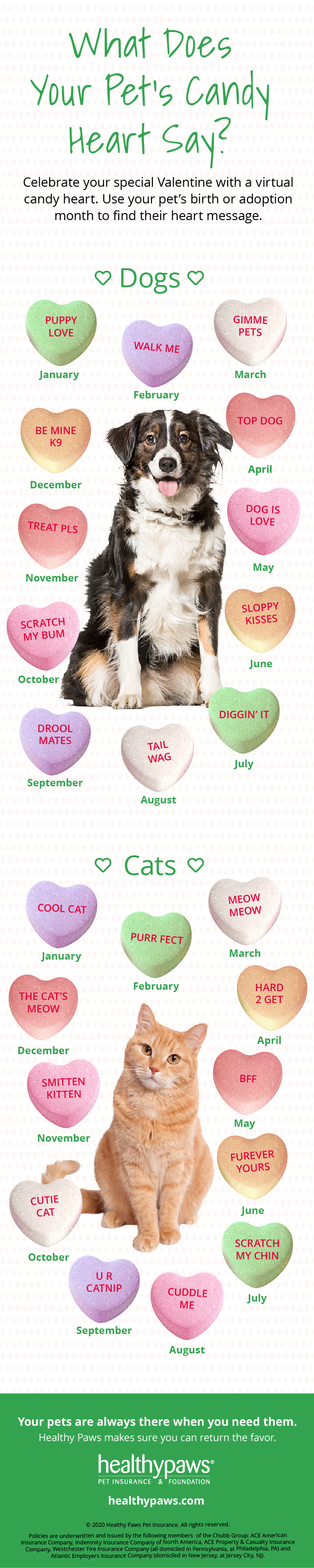 What Does Your Pet's Candy Heart Say?