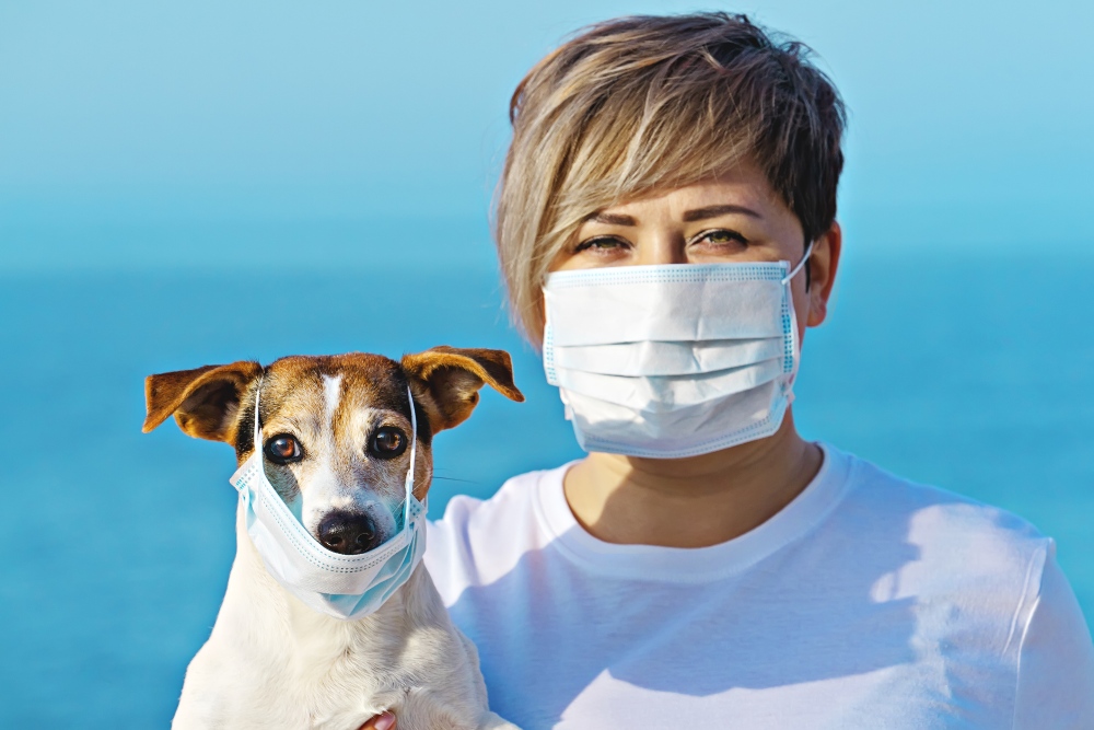 Dog coronavirus and person wearing face mask