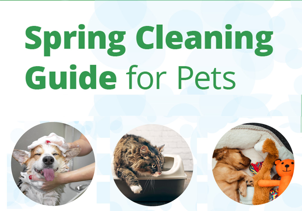 Spring Cleaning Guide for Pets