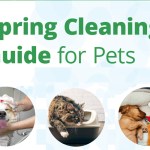 Spring Cleaning Guide for Pets
