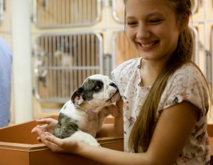 Girl with puppy in shelter