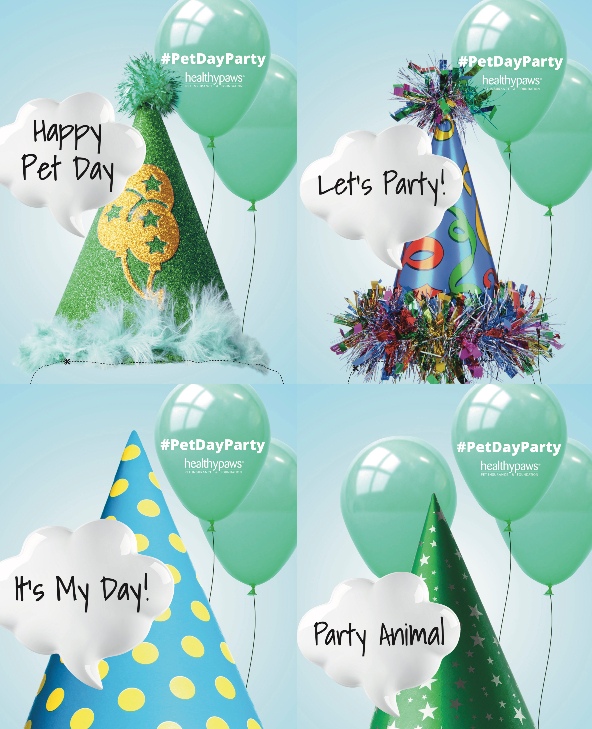 pet day party hats