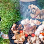 dog waiting by barbecue
