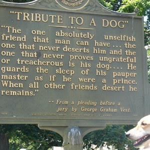Tribute to a dog plaque