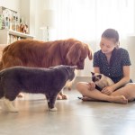 girl with cats and dog