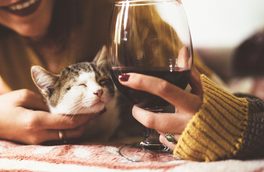 A cat and a glass of wine
