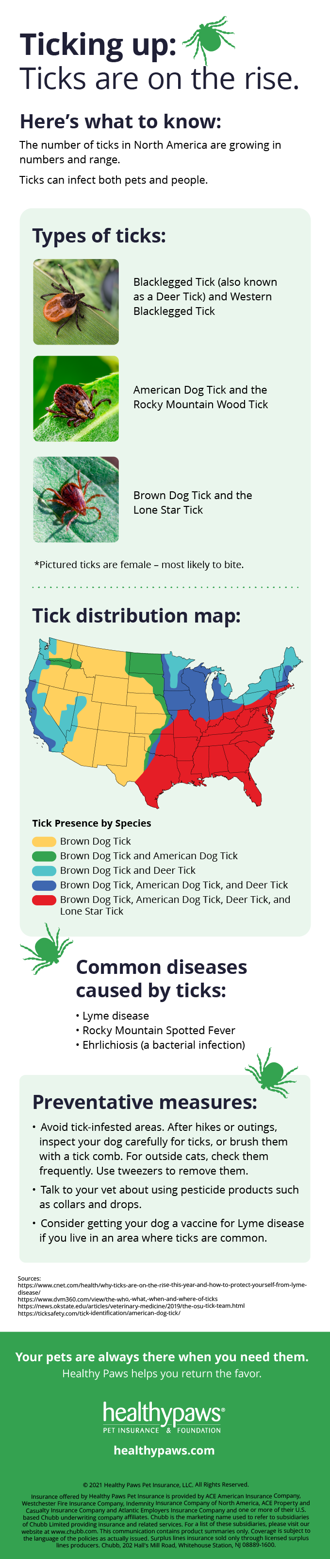 Infographic - all about ticks