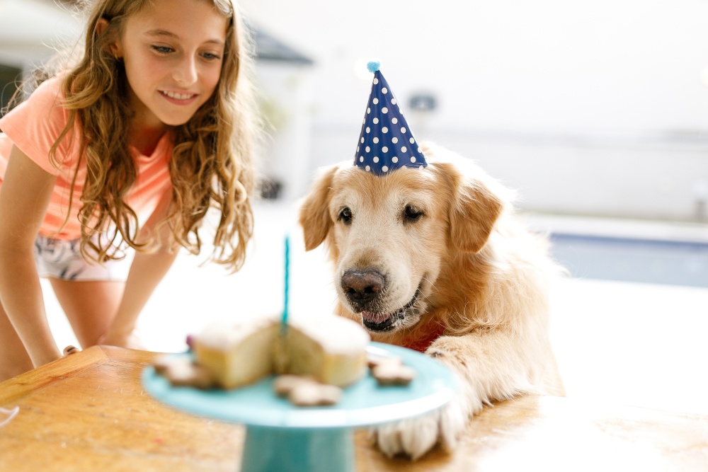 girl and dog celebrating birthday