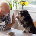 Older person with a dog