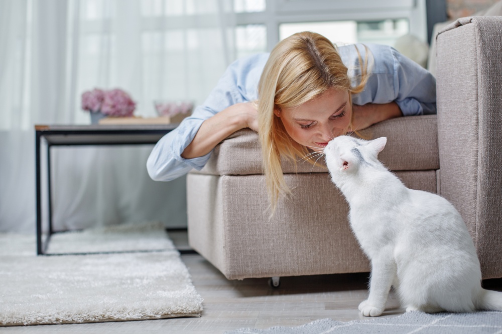 woman kissing white cat