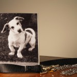 dog picture frame