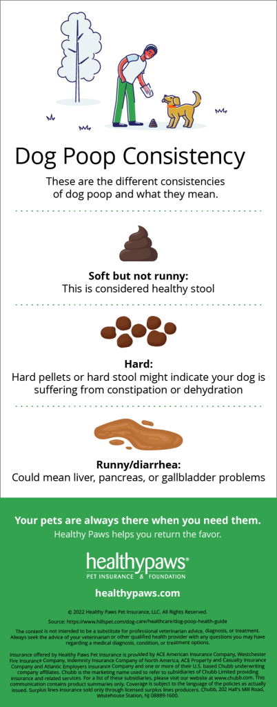 Dog poop consistency infographic