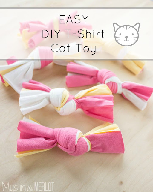 t-shirt cat toy