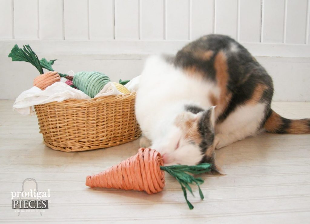 jouets en carton d'herbe à chat