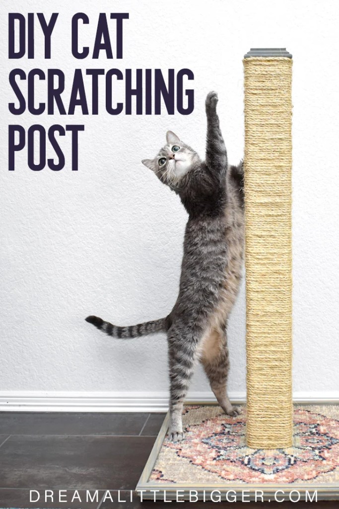 cat scratching post